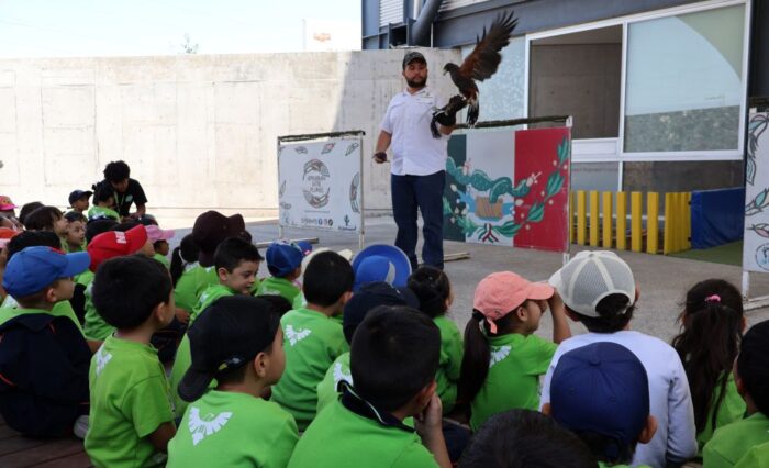 Vuela-vuela-aves-Harvest-Querétaro