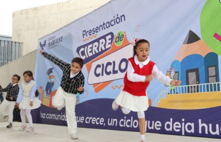 primaria - cierre de ciclo 24-25