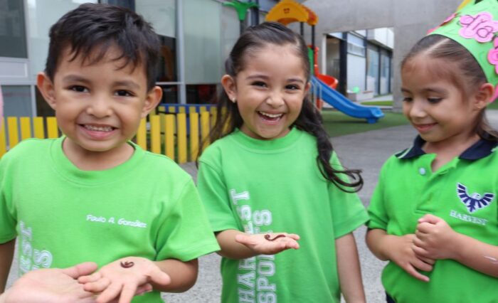 Garden Guardians - Harvest 2